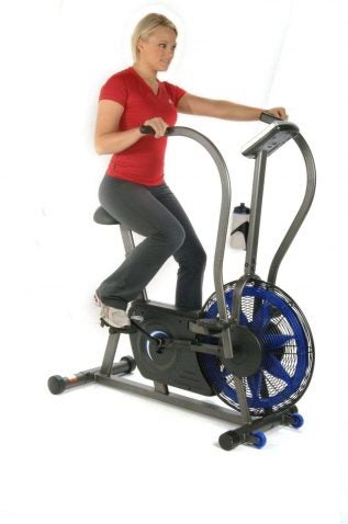 stamina upright exercise bike